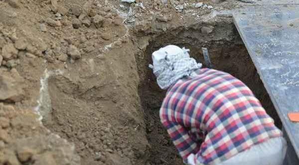 عکس قبر مرتضی پاشایی