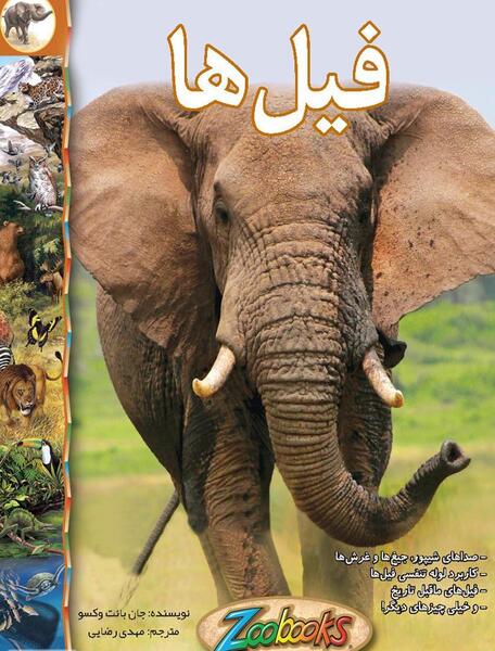 عکس غذا فیل