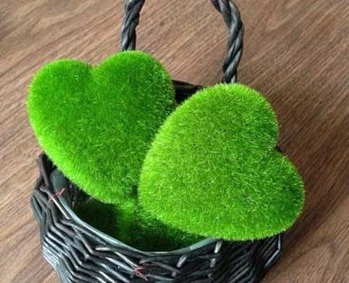 عکس سبزه عید برای پروفایل