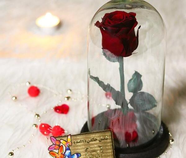 عکس ولنتاین گل رز