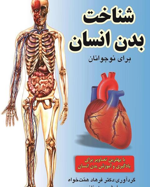 عکس پروفایل آناتومی بدن