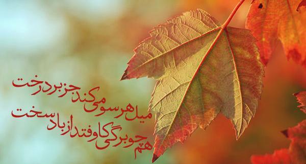 عکس نوشته صابر همدانی