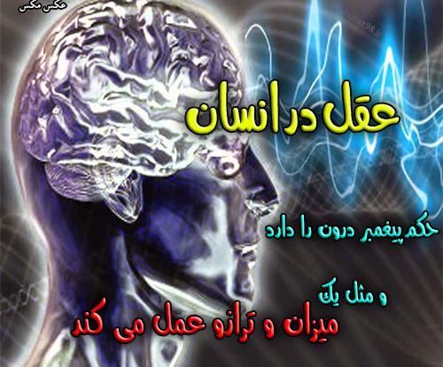 عکس نوشته شیرین عقل