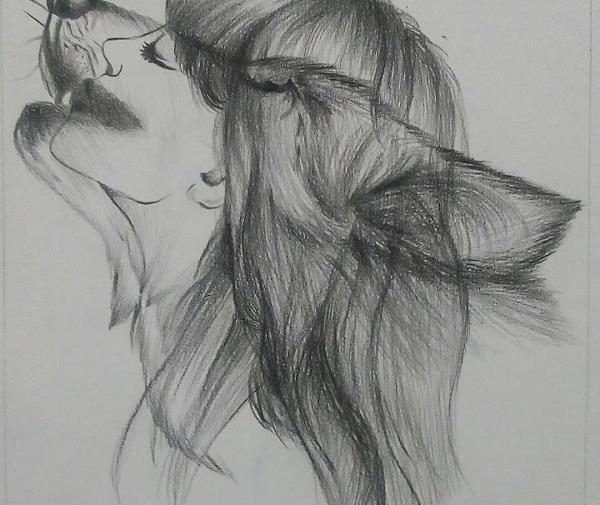 عکس گرگ طراحی شده