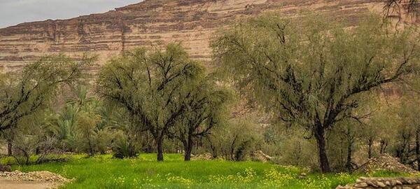 عکس طبیعت هرمزگان