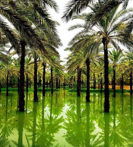 عکس طبیعت هرمزگان