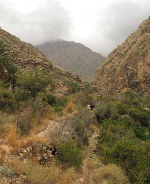 عکس طبیعت هرمزگان