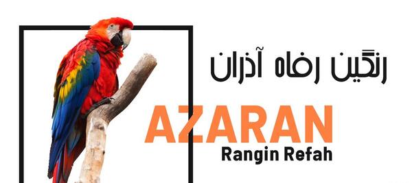 عکس چسب چوب طوطی