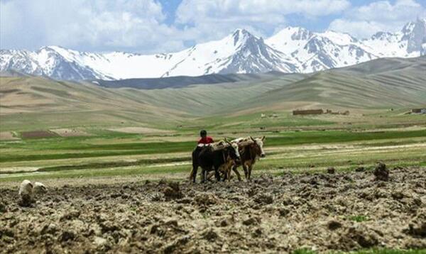 عکس از طبیعت افغانستان