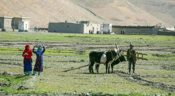 عکس از طبیعت افغانستان