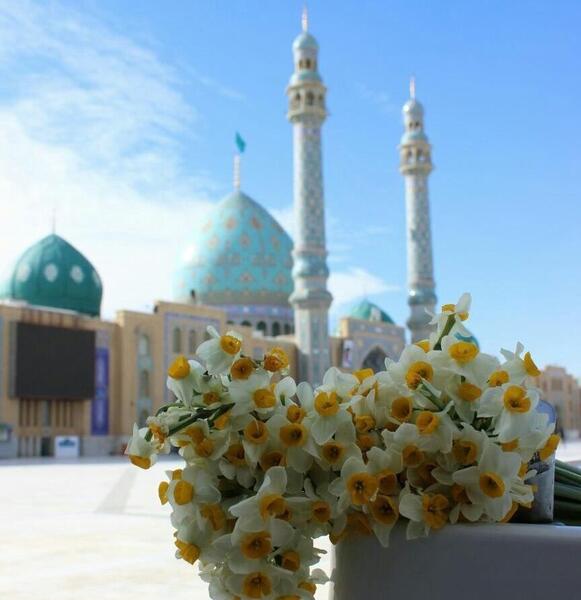 عکس گل نرگس و جمکران