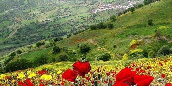 عکس از طبیعت کردستان