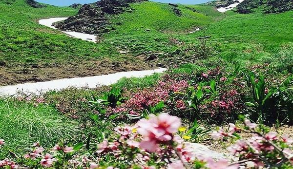عکس از طبیعت کردستان