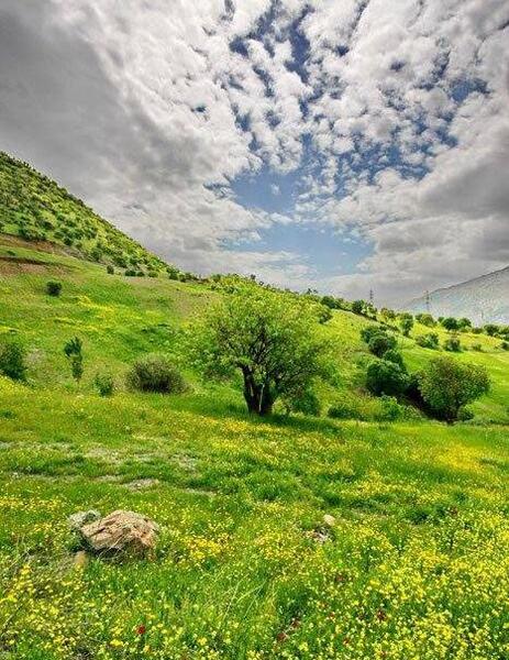 عکس از طبیعت کردستان