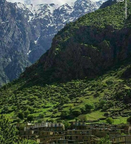 عکس از طبیعت کردستان