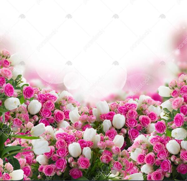 عکس گل لاله برای گروه