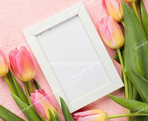عکس گل لاله برای گروه