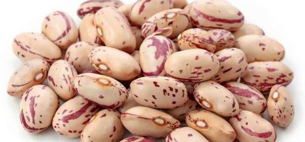 عکس لوبیا سفید