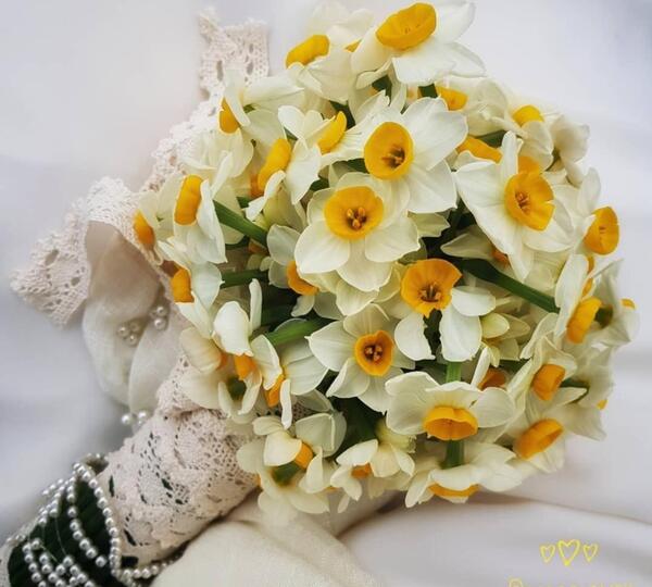 عکس گل نرگس تو ماشین