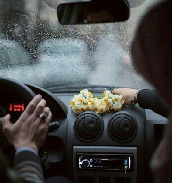 عکس گل نرگس تو ماشین