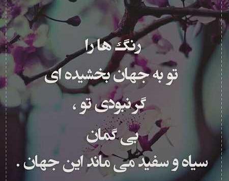 عکس عشقی جالب