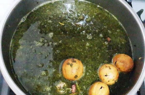 عکس قورمه سبزی فیک