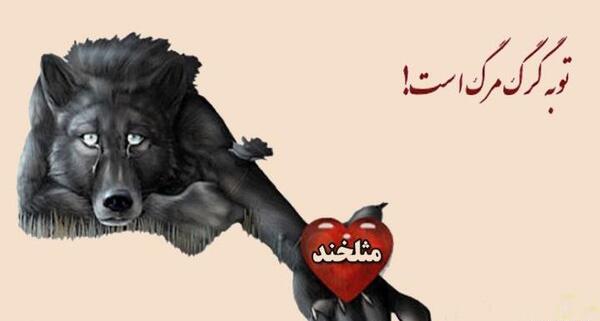 عکس طنز گرگ