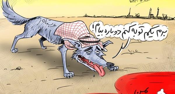 عکس طنز گرگ