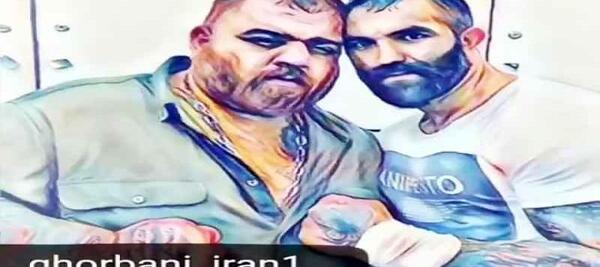 عکس مهران قربانی
