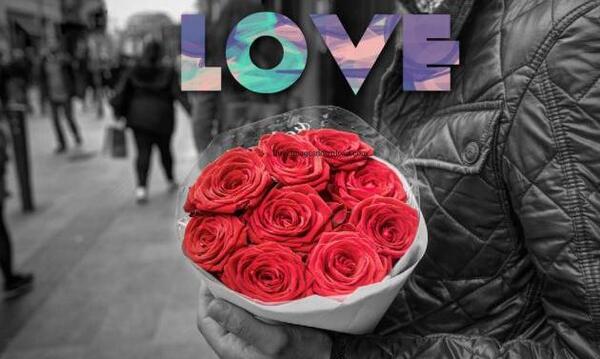 عکس عاشقانه دونفره با گل رز