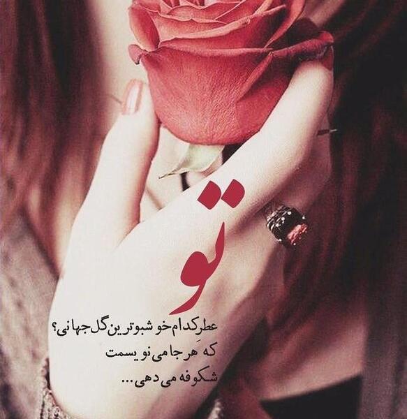 عکس عاشقانه دونفره با گل رز