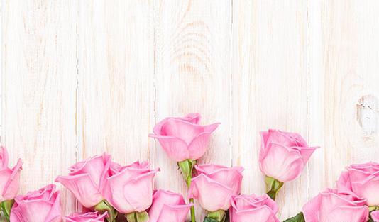 عکس گلهای زیبا برای بک گراند