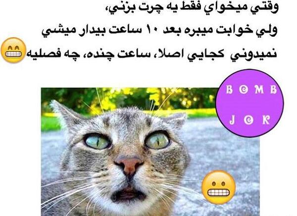 عکس های خنده دار گربه ها با متن