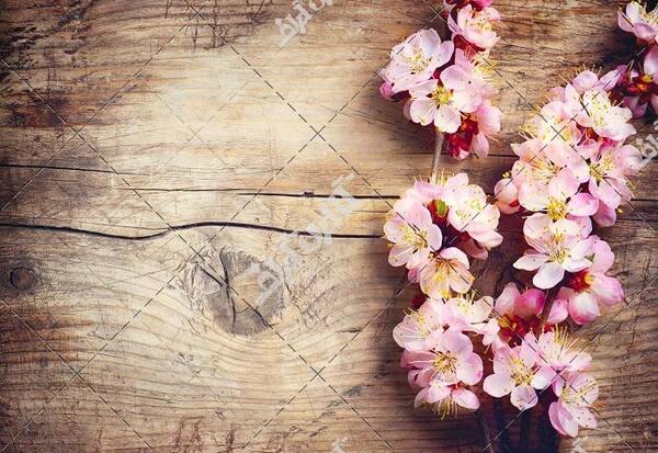 عکس بهاری برای نوشتن متن