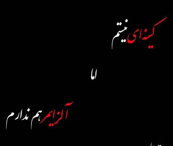 عکس نوشته ی کینه ای نیستم ولی آلزایمر هم ندارم