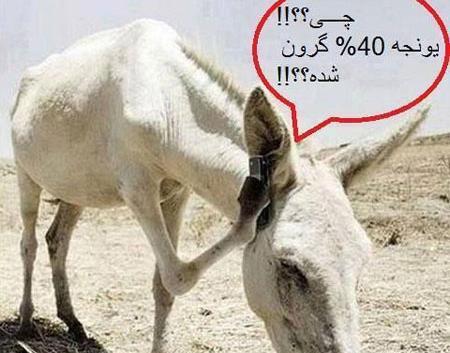 عکس طنز دار