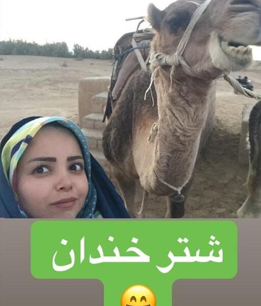 عکس شتر با روسری