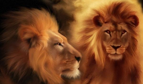 عکس حیوانات شیر