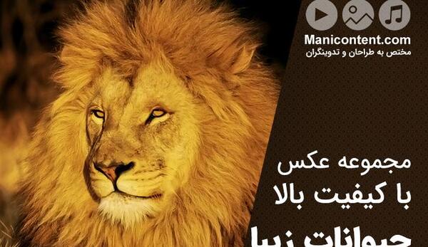 عکس حیوانات شیر