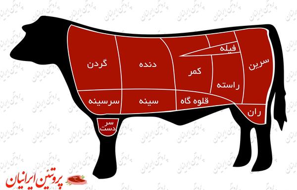 عکس قلوه گاو
