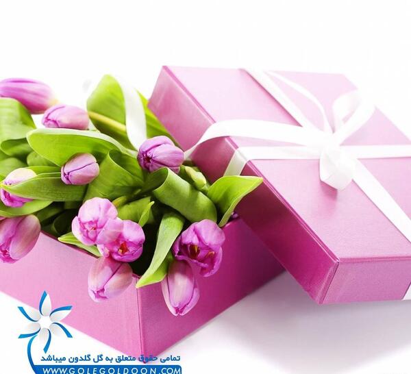عکس دسته گل لاله