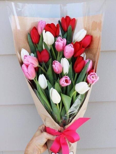 عکس دسته گل لاله