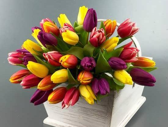 عکس دسته گل لاله