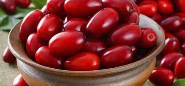 عکس زغال اخته ترش