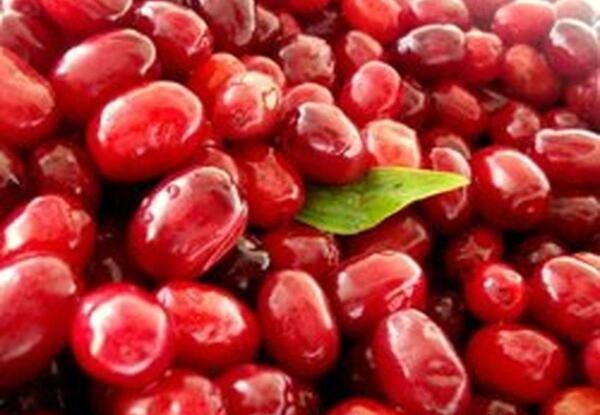 عکس زغال اخته ترش