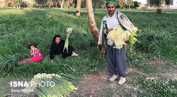 عکس ثنا عابدی