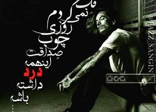 عکس لاتی و شاخ