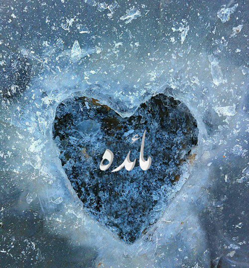 عکس نوشته نام مائده
