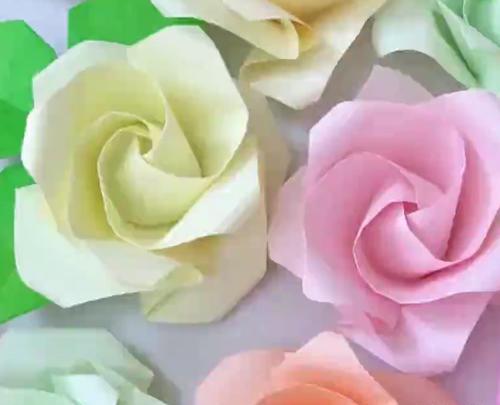 عکس گل رز جادویی