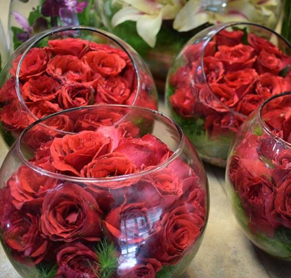 عکس گل رز جادویی